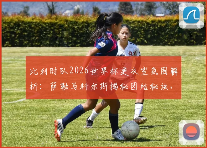 比利时队2026世界杯更衣室氛围解析：萨勒马科尔斯揭秘团结秘诀，多库战术价值何在？